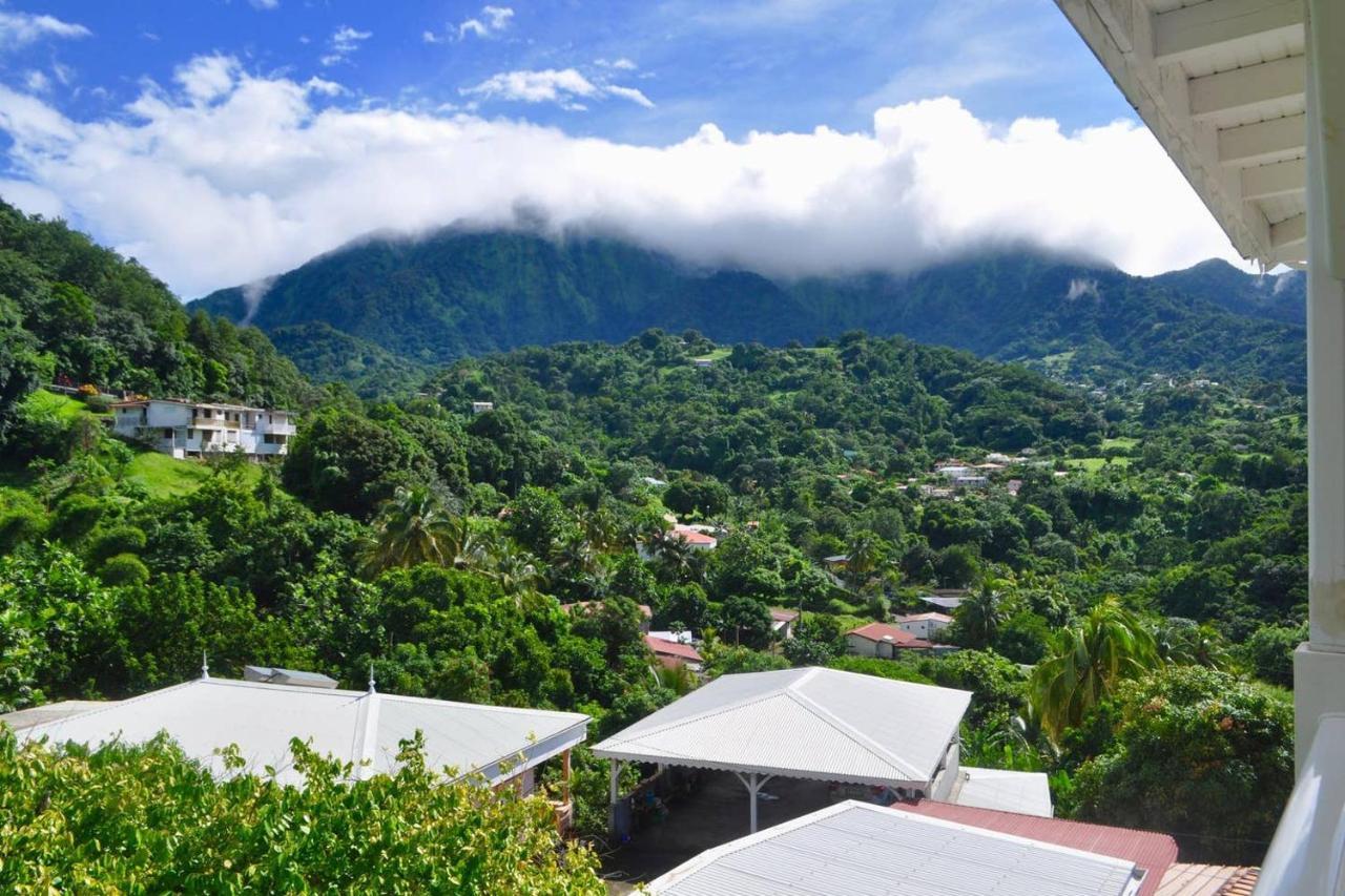 Le Colibri Vert Le Morne-Vert Luaran gambar